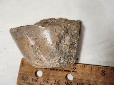 Beautiful Dinosaur Bone Specimen
