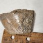 Beautiful Dinosaur Bone Specimen