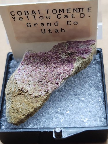 Beautiful Cobaltomenite thumbnail specimen