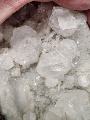 Stunning Cabinet Apophyllite Specimen
