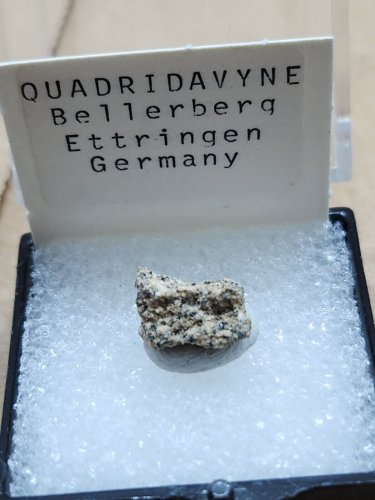 Beautiful Quadridavyne thumbnail specimen