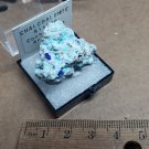 Beautiful Chalcoalumite w azurite thumbnail specimen
