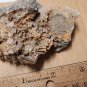 Beautiful Endlichite specimen