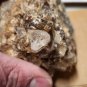Beautiful Colorado Barite On  Dolomite specimen