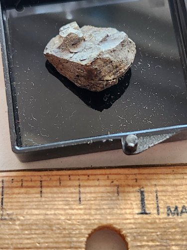 Beautiful Kladnoite Thumbnail specimen