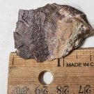 Stunning Nabiasite specimen