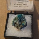 Beautiful NM Dioptase Thumbnail specimen