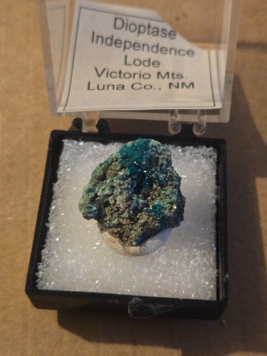 Beautiful NM Dioptase Thumbnail specimen
