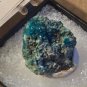 Beautiful NM Dioptase Thumbnail specimen