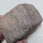 Beautiful bluish Dinosaur Bone Specimen