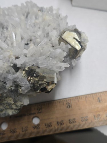 Beautiful Pyrite on quartz specimen