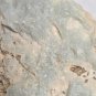 Beautiful Blue Alunite specimen