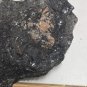 Deerite Specimen