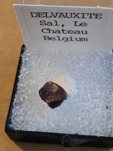 Stunning Delvauxite thumbnail  specimen