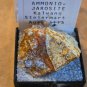 Stunning Ammoniojarosite thumbnail  specimen