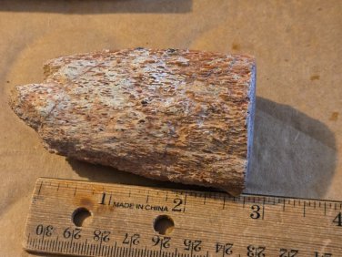 Stunning Dinosaur Bone specimen