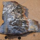 Stunning Plume Agate Slab specimen