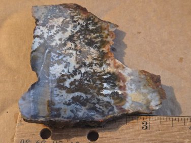 Stunning Plume Agate Slab specimen