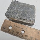 Beautiful Dinosaur Bone Slab