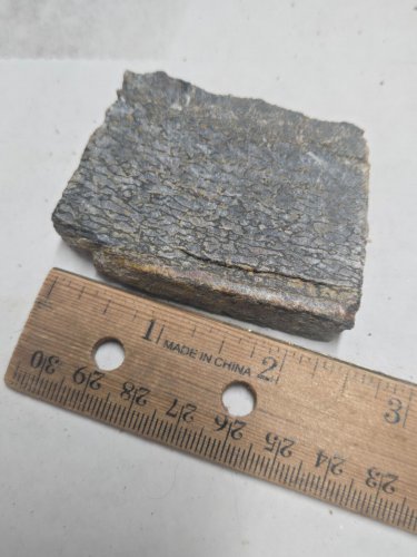 Beautiful Dinosaur Bone Slab