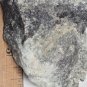 Beautiful Dollaseite Ce with Cerite Ce