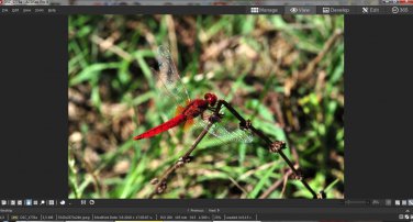 Digital Picture Macro