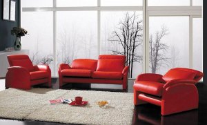 Modern Red leather sofa set