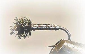 Trout Flies-1 Dozen Midge Pupa Grey #18-Fly Fishing Flies