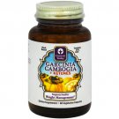 Genesis Nutrition Today Garcinia Cambogia Plus Keytones, 60 Count
