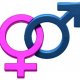 Progesterone Cream
