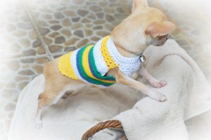 Handmade Hand Crochet Knit Dog Puppy Tee Shirts Myknitt D812 XXS