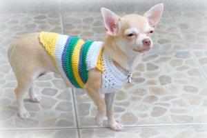 Handmade Hand Crochet Knit Dog Puppy Tee Shirts Myknitt D812 XS