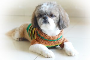 Handmade Hand Crocet Knit Baby Dog Sweater Clothes Myknitt D813 XS
