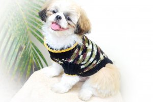 Small Dog CLothes, Hand Crochet Dog Costume D815 S - Free Shipping