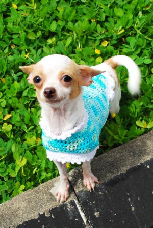Dog Clothes For Medium Dog Hand made D819 M - Free shipping