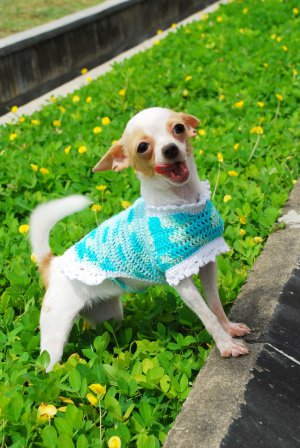 Dog Clothes for Large dog , Handmade Dog Dresses D819 L - Free shipping