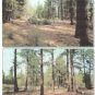 .96 Acre Lot Chiloquin, Oregon