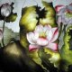 Language Of Flowers