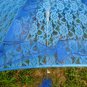blue lace parasol umbrella elegant wedding party