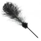 Novelty Funky Childs Feather Black Ballpoint Pen Gift