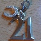 Sterling Silver 21st Birthday CZ Horseshoe Bracelet Clip On Bracelet Charm Gift