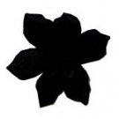 Berisford Craft Sewing 30 Black 6 Petal Ribbon Flowers