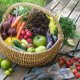 Vegetable & Fruit Seeds
