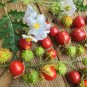 20 Litchi Tomato Berry Seeds