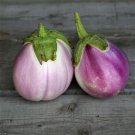 30 Italian Heirloom Eggplant Rosa Bianca Seeds