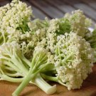 25 Fioretto Stick Cauliflower Brassica Seeds