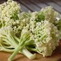 25 Fioretto Stick Cauliflower Brassica Seeds