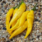 20 Peruvian Aji Limon Chili Pepper Capsicum Seeds