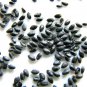 30 Red Dragon Fruit Pitaya Roja Hylocereus Seeds