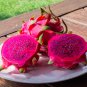 30 Red Dragon Fruit Pitaya Roja Hylocereus Seeds
